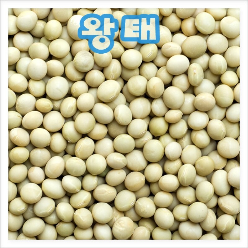 강원 뻥이오뻥농산물/기타 잡곡국내산 백태/왕태500g/1kg선택(직접 농사지은 알이 좋아요)  