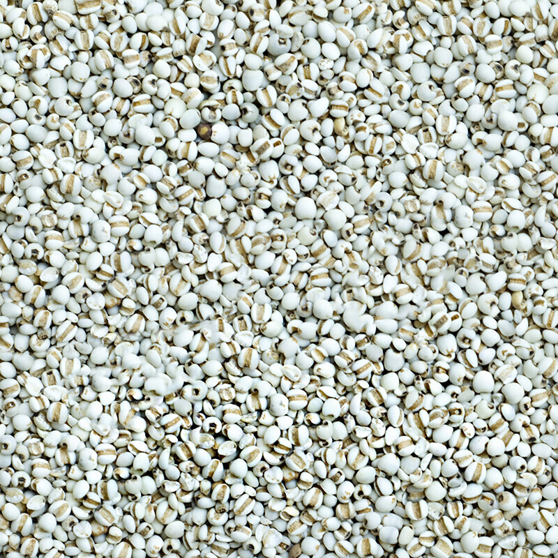 강원 뻥이오뻥농산물/기타 잡곡국산 율무쌀 (잡곡)  